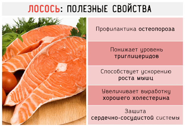 Полезные свойства лосося